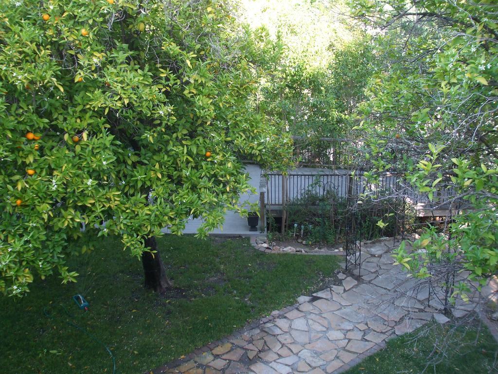 The Historic Hotel Leger Mokelumne Hill Εξωτερικό φωτογραφία